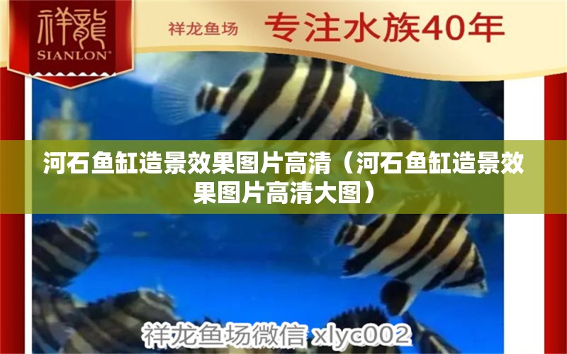 河石魚缸造景效果圖片高清（河石魚缸造景效果圖片高清大圖） 祥龍水族醫(yī)院