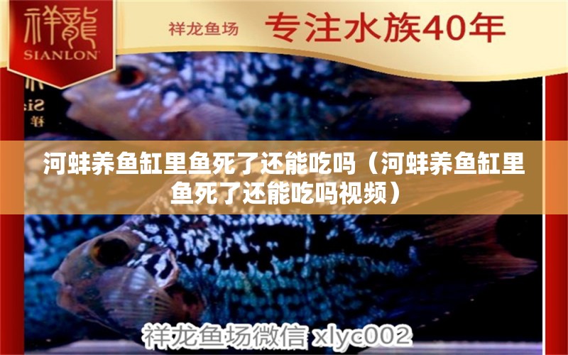 河蚌養(yǎng)魚(yú)缸里魚(yú)死了還能吃嗎（河蚌養(yǎng)魚(yú)缸里魚(yú)死了還能吃嗎視頻）