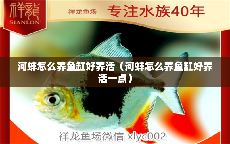 河蚌怎么養(yǎng)魚缸好養(yǎng)活（河蚌怎么養(yǎng)魚缸好養(yǎng)活一點） 虎魚魚苗