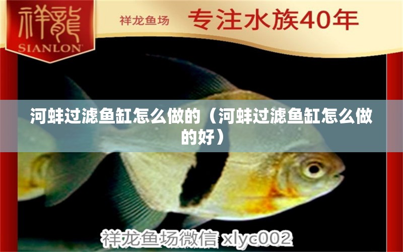 河蚌過濾魚缸怎么做的（河蚌過濾魚缸怎么做的好）