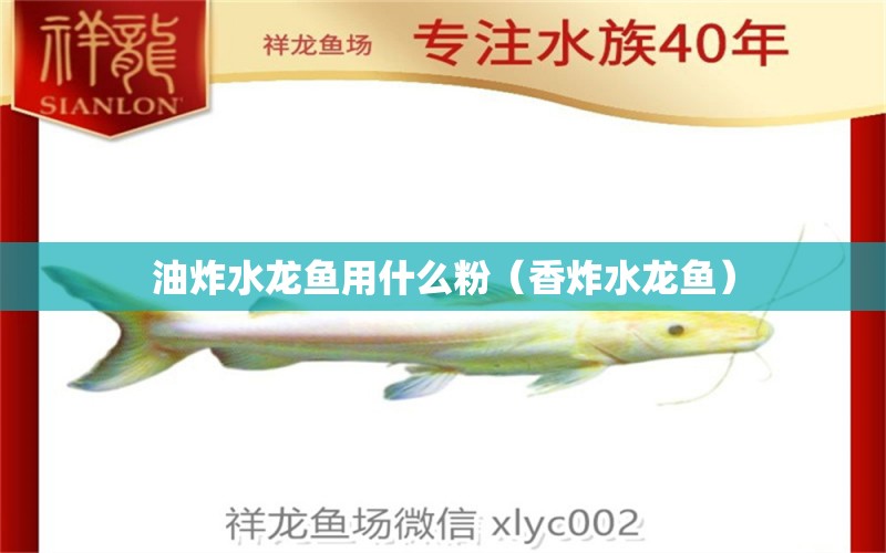 油炸水龍魚用什么粉（香炸水龍魚）