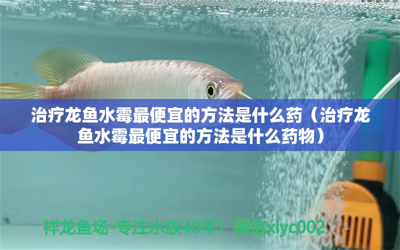 治療龍魚水霉最便宜的方法是什么藥（治療龍魚水霉最便宜的方法是什么藥物） 龍魚疾病與治療