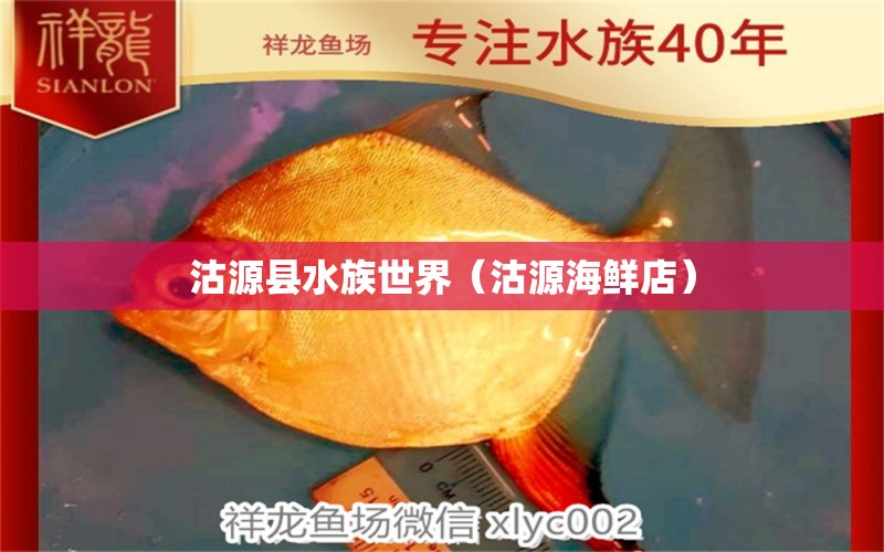 沽源縣水族世界（沽源海鮮店） 全國水族館企業(yè)名錄