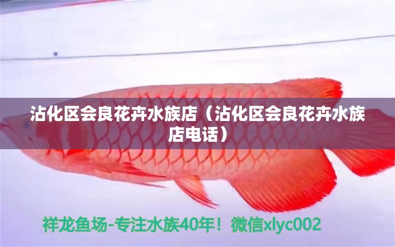 沾化區(qū)會(huì)良花卉水族店（沾化區(qū)會(huì)良花卉水族店電話(huà)） 全國(guó)水族館企業(yè)名錄