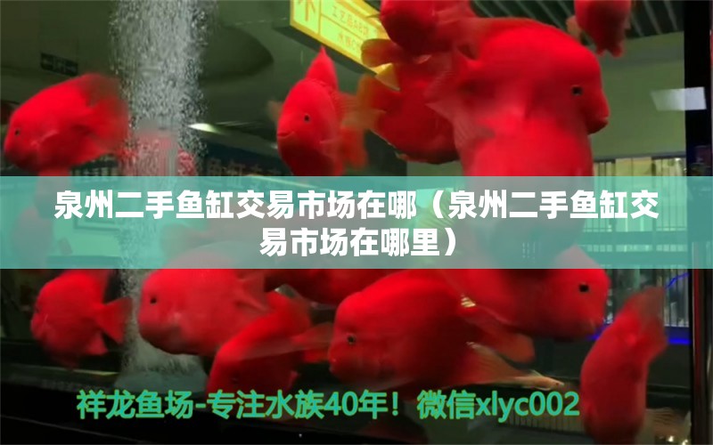 泉州二手魚(yú)缸交易市場(chǎng)在哪（泉州二手魚(yú)缸交易市場(chǎng)在哪里）