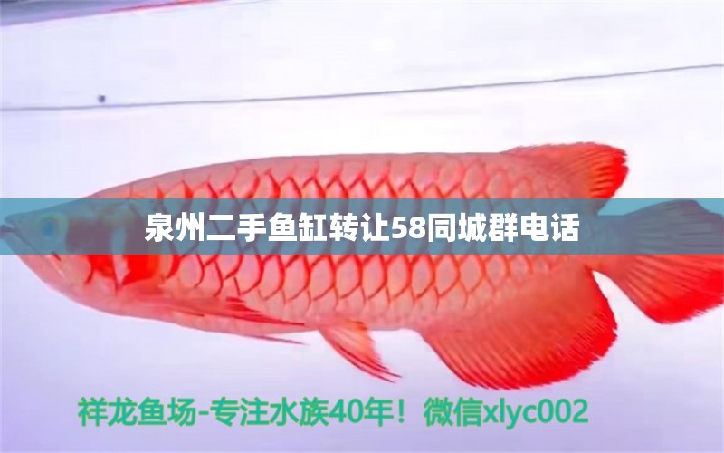 泉州二手魚缸轉(zhuǎn)讓58同城群電話