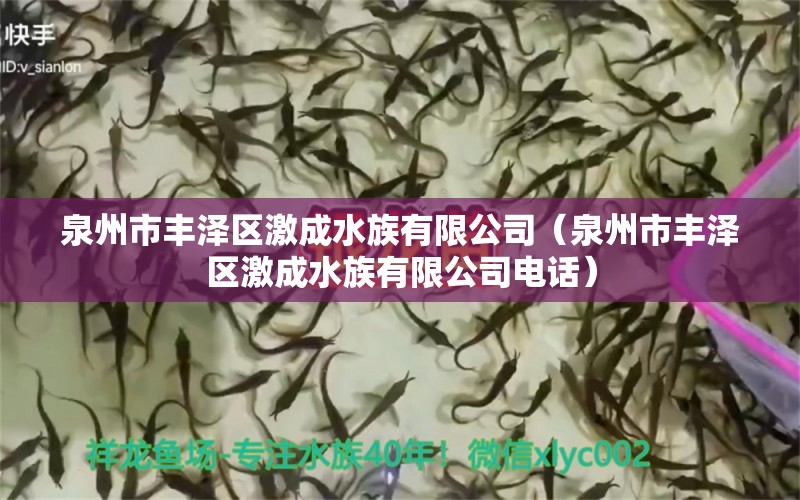 泉州市豐澤區(qū)激成水族有限公司（泉州市豐澤區(qū)激成水族有限公司電話） 全國水族館企業(yè)名錄