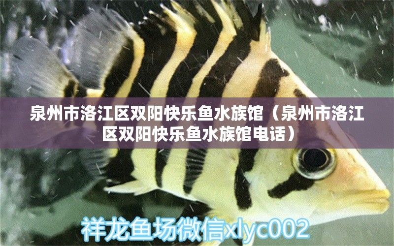 泉州市洛江區(qū)雙陽快樂魚水族館（泉州市洛江區(qū)雙陽快樂魚水族館電話）