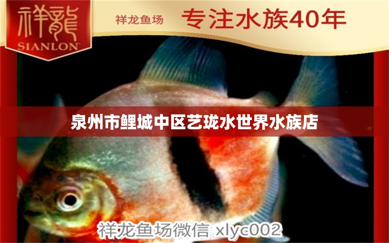 泉州市鯉城中區(qū)藝瓏水世界水族店