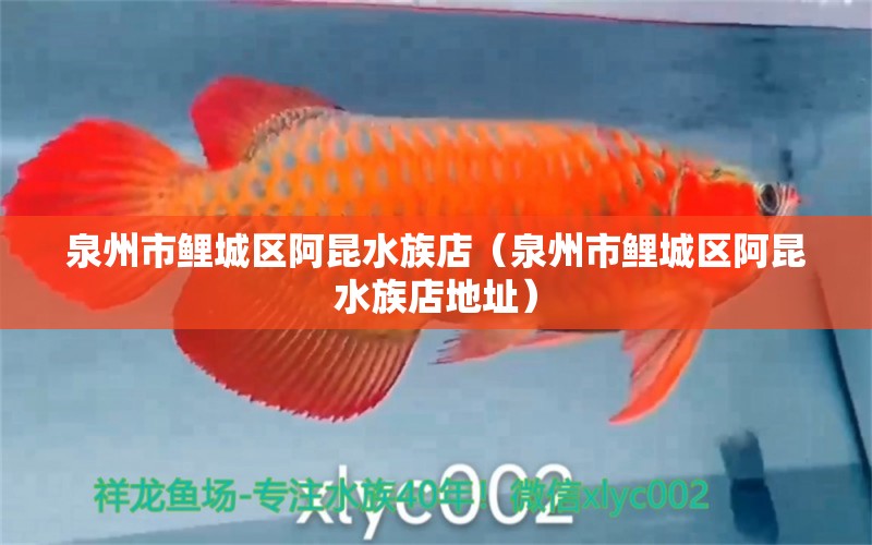 泉州市鯉城區(qū)阿昆水族店（泉州市鯉城區(qū)阿昆水族店地址） 全國水族館企業(yè)名錄