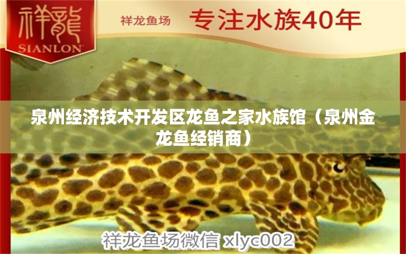 泉州經(jīng)濟(jì)技術(shù)開發(fā)區(qū)龍魚之家水族館（泉州金龍魚經(jīng)銷商）