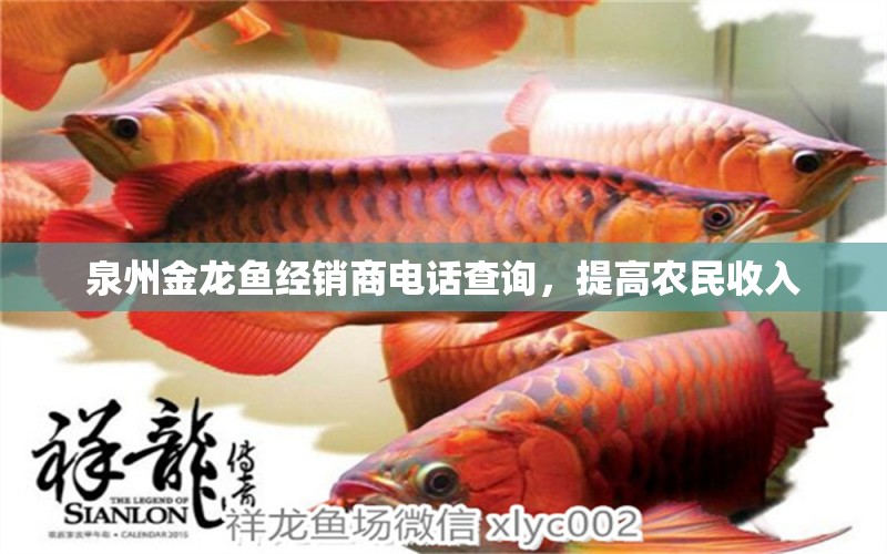 泉州金龍魚(yú)經(jīng)銷(xiāo)商電話(huà)查詢(xún)，提高農(nóng)民收入 潛水泵