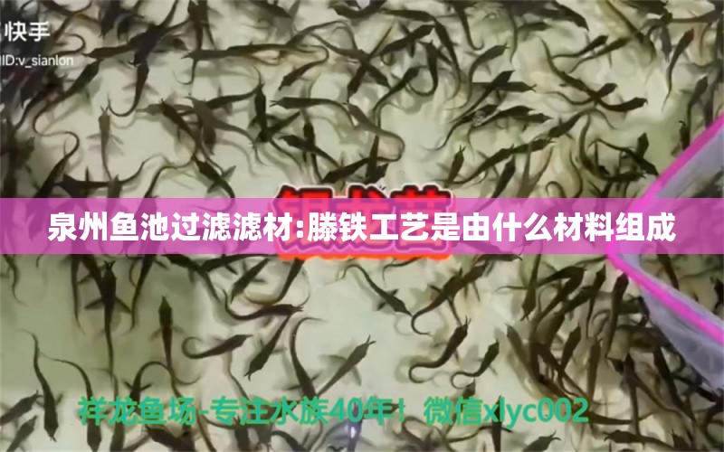 泉州魚池過濾濾材:滕鐵工藝是由什么材料組成 廣州水族器材濾材批發(fā)市場(chǎng)