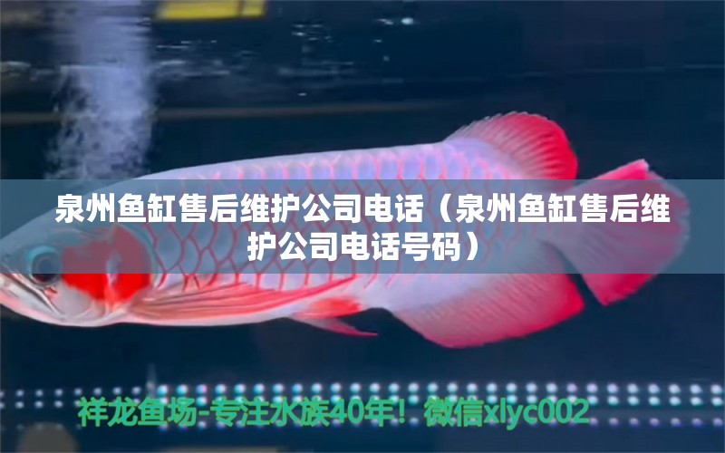 泉州魚缸售后維護公司電話（泉州魚缸售后維護公司電話號碼）