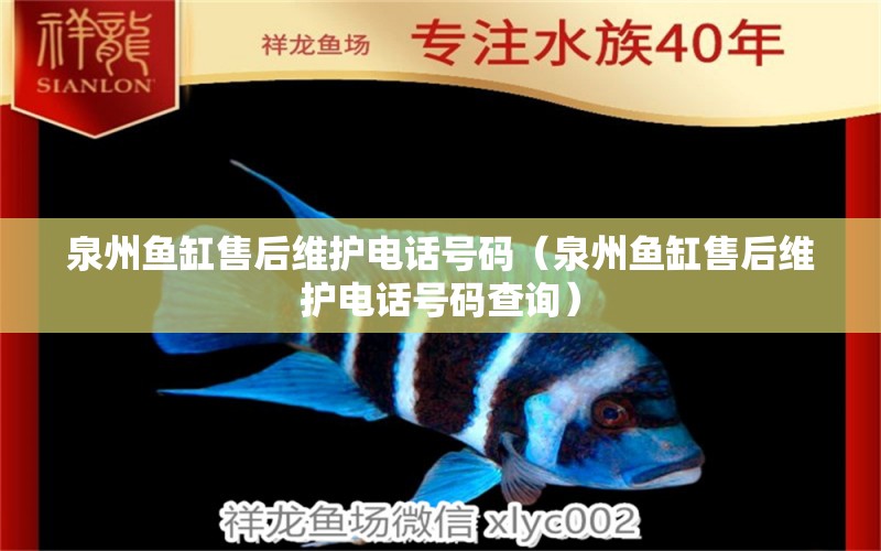 泉州魚(yú)缸售后維護(hù)電話號(hào)碼（泉州魚(yú)缸售后維護(hù)電話號(hào)碼查詢）