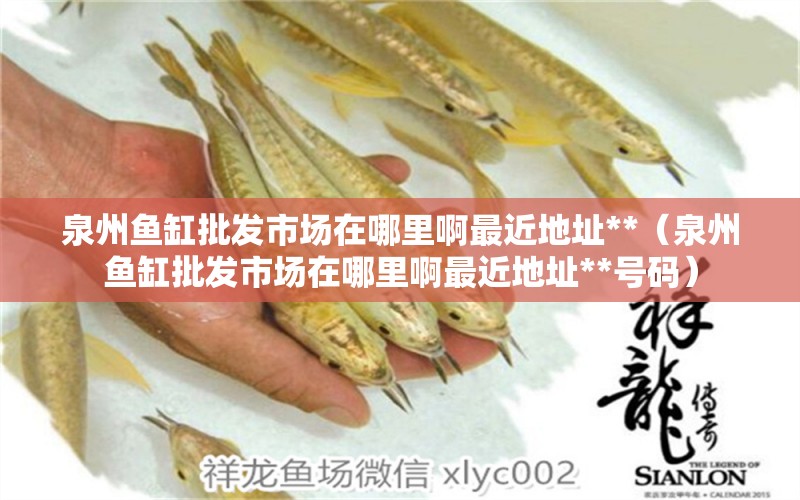 泉州魚缸批發(fā)市場在哪里啊最近地址**（泉州魚缸批發(fā)市場在哪里啊最近地址**號碼）