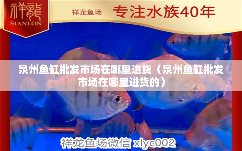 泉州魚缸批發(fā)市場在哪里進(jìn)貨（泉州魚缸批發(fā)市場在哪里進(jìn)貨的）