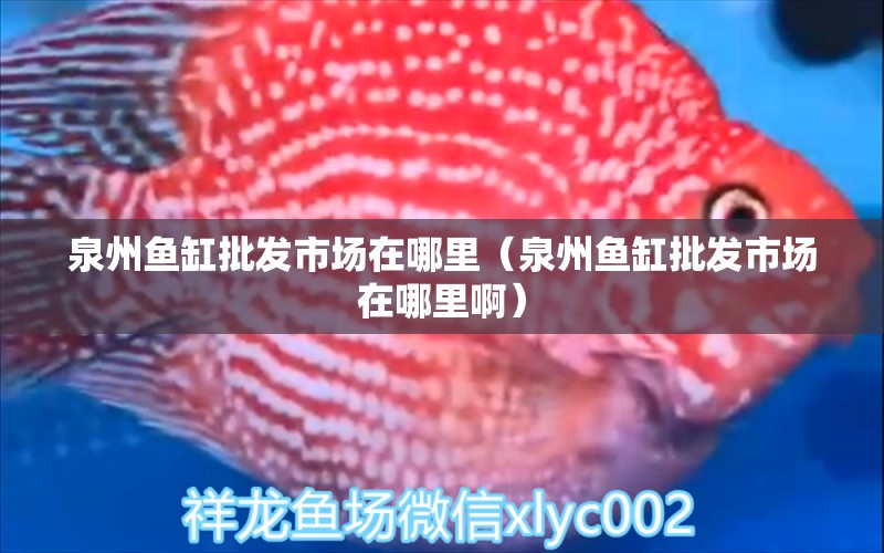 泉州魚缸批發(fā)市場在哪里（泉州魚缸批發(fā)市場在哪里?。?其他品牌魚缸