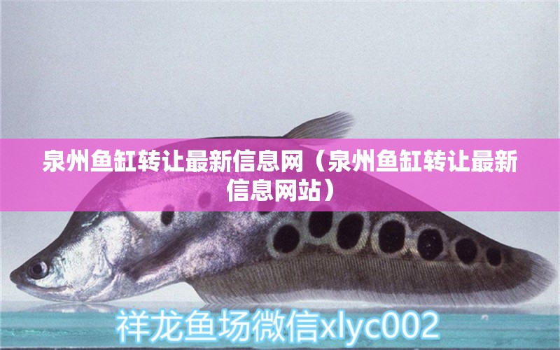 泉州魚缸轉(zhuǎn)讓最新信息網(wǎng)（泉州魚缸轉(zhuǎn)讓最新信息網(wǎng)站）