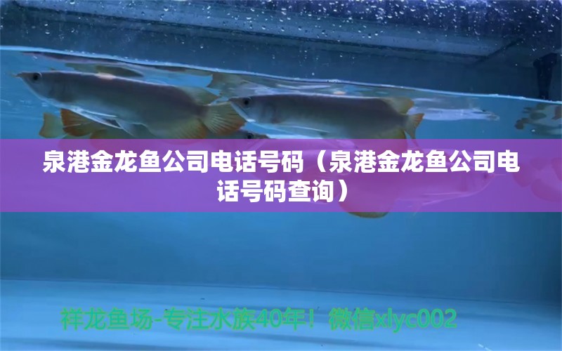 泉港金龍魚公司電話號碼（泉港金龍魚公司電話號碼查詢）