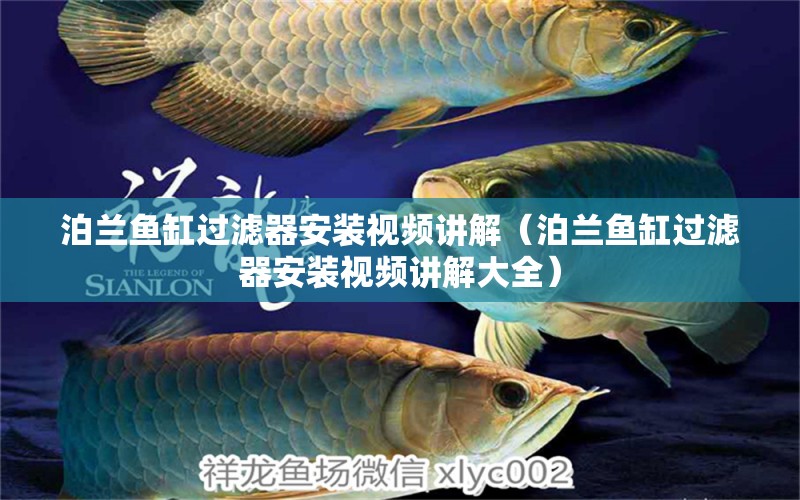 泊蘭魚缸過濾器安裝視頻講解（泊蘭魚缸過濾器安裝視頻講解大全）