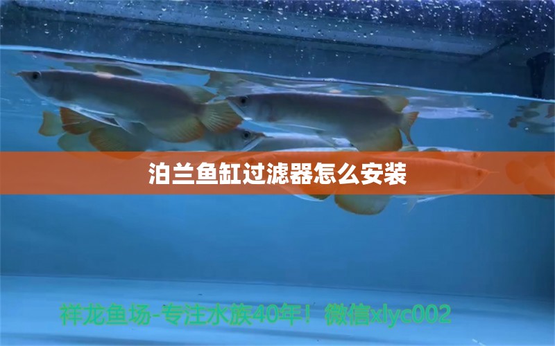 泊蘭魚(yú)缸過(guò)濾器怎么安裝