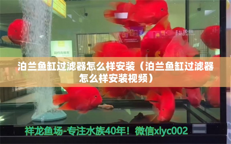 泊蘭魚缸過濾器怎么樣安裝（泊蘭魚缸過濾器怎么樣安裝視頻）