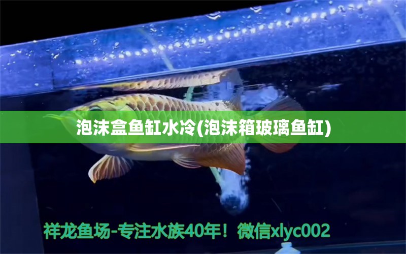 泡沫盒魚缸水冷(泡沫箱玻璃魚缸) 噴點菠蘿魚 第1張