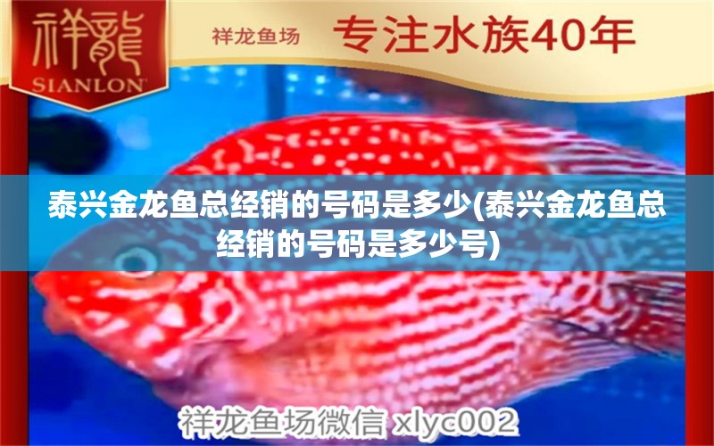 泰興金龍魚總經(jīng)銷的號(hào)碼是多少(泰興金龍魚總經(jīng)銷的號(hào)碼是多少號(hào)) 元寶鯽