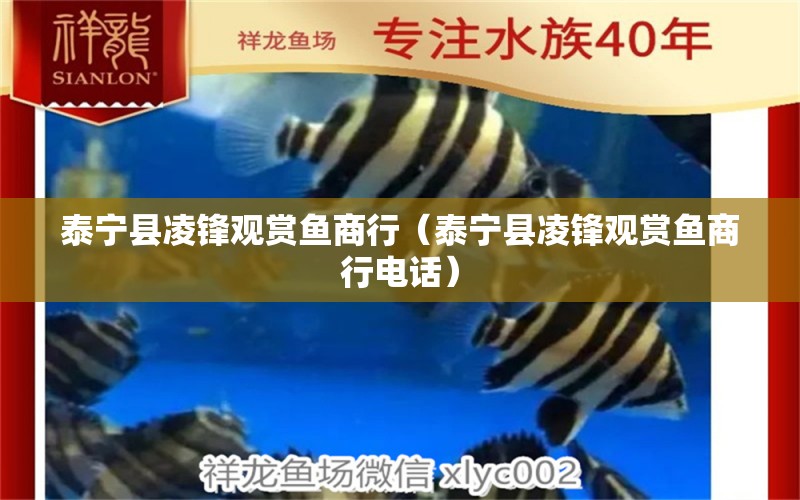 泰寧縣凌鋒觀賞魚商行（泰寧縣凌鋒觀賞魚商行電話） 全國水族館企業(yè)名錄