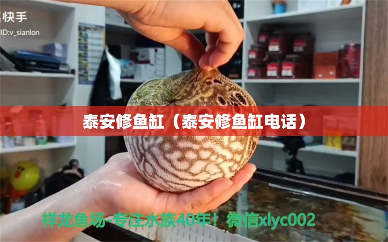 泰安修魚缸（泰安修魚缸電話）