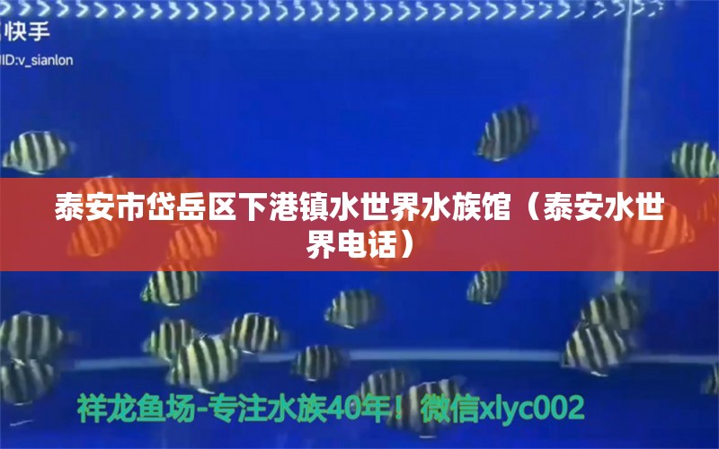 泰安市岱岳區(qū)下港鎮(zhèn)水世界水族館（泰安水世界電話）