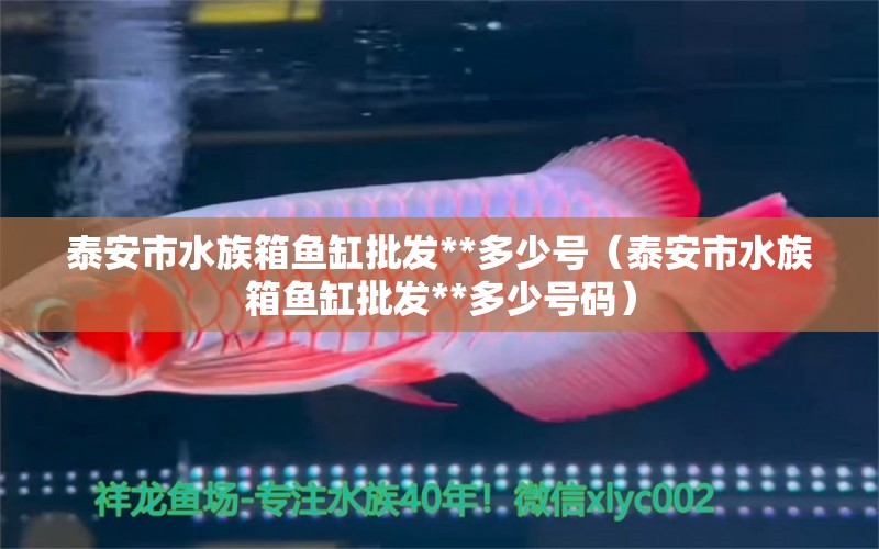 泰安市水族箱魚缸批發(fā)**多少號（泰安市水族箱魚缸批發(fā)**多少號碼） 魚缸/水族箱