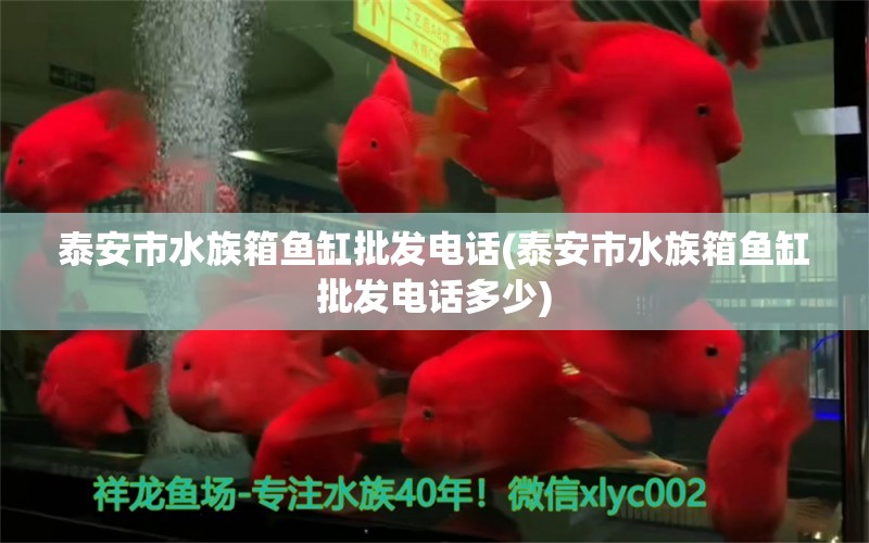 泰安市水族箱魚缸批發(fā)電話(泰安市水族箱魚缸批發(fā)電話多少) 魚缸/水族箱