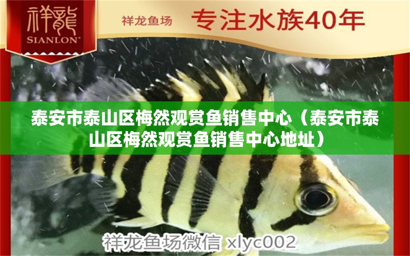 泰安市泰山區(qū)梅然觀賞魚銷售中心（泰安市泰山區(qū)梅然觀賞魚銷售中心地址）