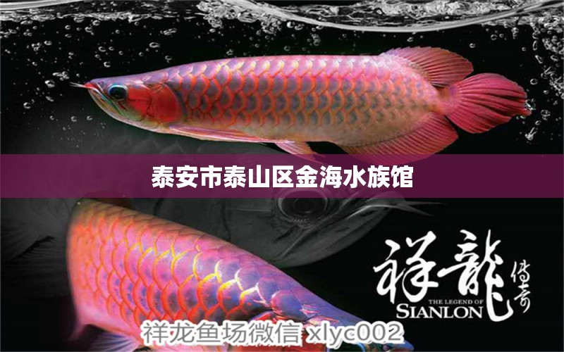 泰安市泰山區(qū)金海水族館 全國水族館企業(yè)名錄