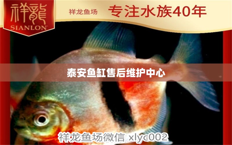 泰安魚缸售后維護中心