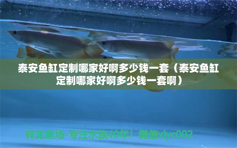 泰安魚(yú)缸定制哪家好啊多少錢一套（泰安魚(yú)缸定制哪家好啊多少錢一套?。? title=