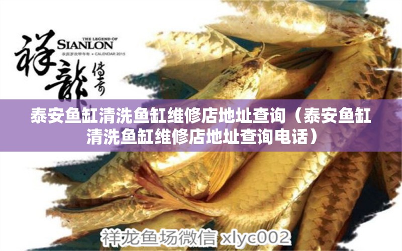 泰安魚(yú)缸清洗魚(yú)缸維修店地址查詢(xún)（泰安魚(yú)缸清洗魚(yú)缸維修店地址查詢(xún)電話(huà)） 大嘴鯨魚(yú)