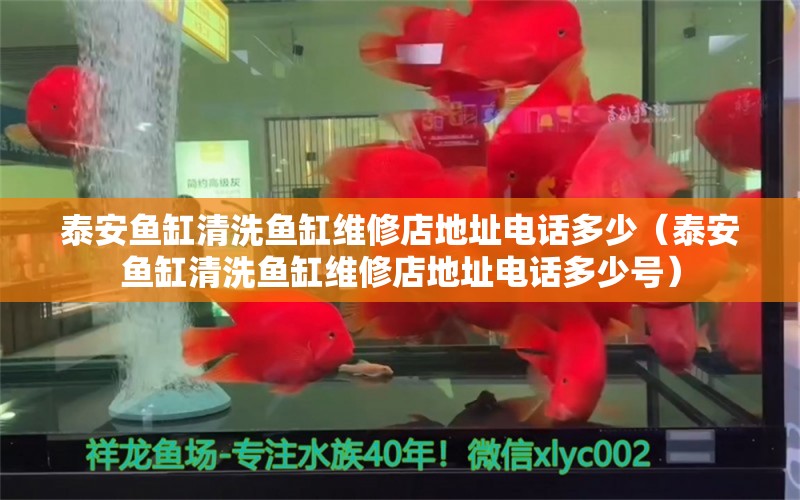 泰安魚缸清洗魚缸維修店地址電話多少（泰安魚缸清洗魚缸維修店地址電話多少號(hào)） 量子養(yǎng)魚技術(shù)