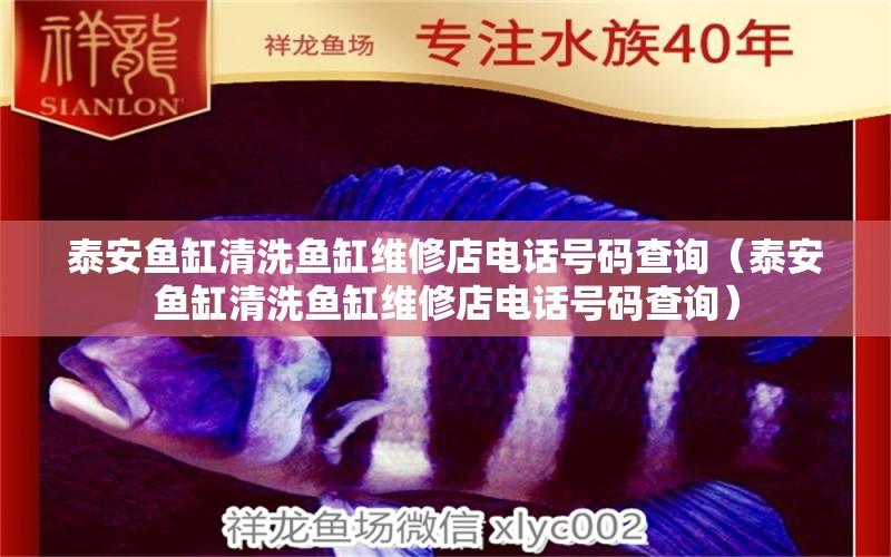 泰安魚缸清洗魚缸維修店電話號碼查詢（泰安魚缸清洗魚缸維修店電話號碼查詢）