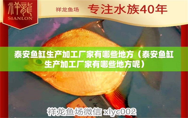 泰安魚缸生產(chǎn)加工廠家有哪些地方（泰安魚缸生產(chǎn)加工廠家有哪些地方呢）