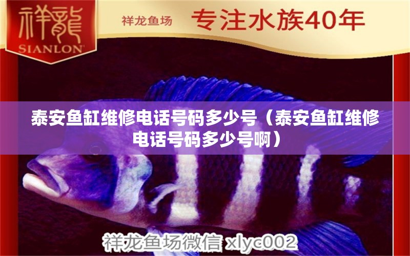 泰安魚(yú)缸維修電話號(hào)碼多少號(hào)（泰安魚(yú)缸維修電話號(hào)碼多少號(hào)?。?量子養(yǎng)魚(yú)技術(shù)