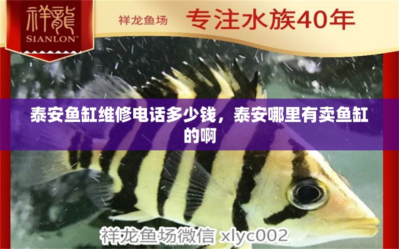 泰安魚缸維修電話多少錢，泰安哪里有賣魚缸的啊