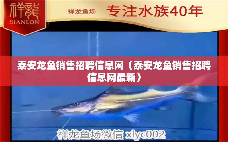 泰安龍魚銷售招聘信息網(wǎng)（泰安龍魚銷售招聘信息網(wǎng)最新） 祥龍水族醫(yī)院