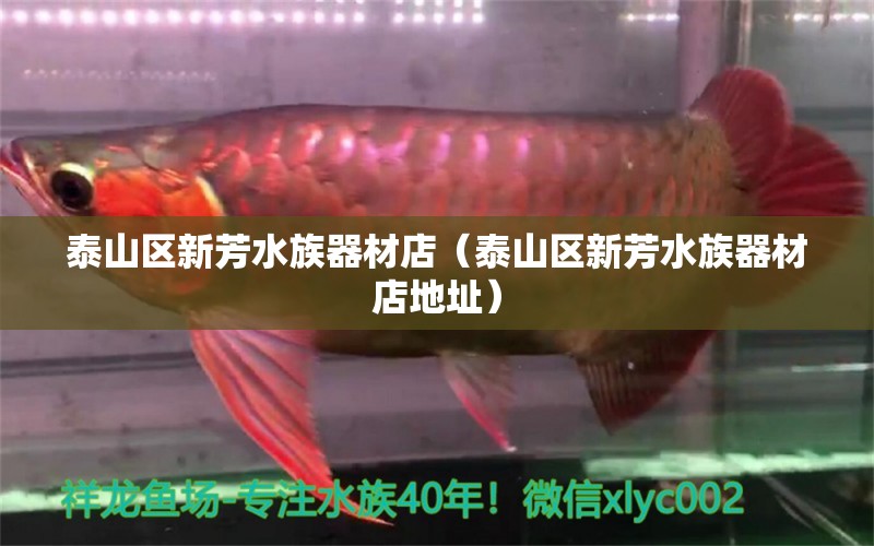 泰山區(qū)新芳水族器材店（泰山區(qū)新芳水族器材店地址）