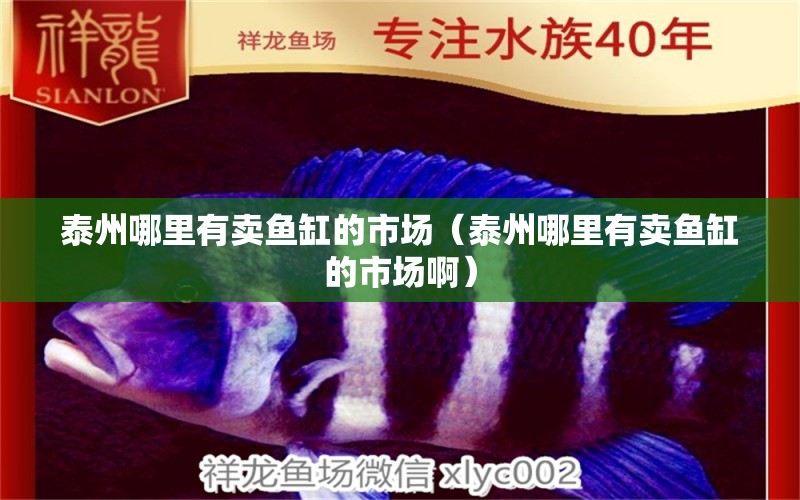 泰州哪里有賣(mài)魚(yú)缸的市場(chǎng)（泰州哪里有賣(mài)魚(yú)缸的市場(chǎng)?。? title=