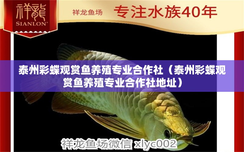 泰州彩蝶觀賞魚養(yǎng)殖專業(yè)合作社（泰州彩蝶觀賞魚養(yǎng)殖專業(yè)合作社地址） 全國(guó)水族館企業(yè)名錄