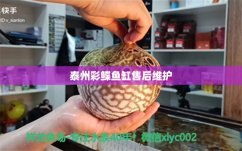 泰州彩鰈魚缸售后維護 彩鰈魚缸（彩蝶魚缸）