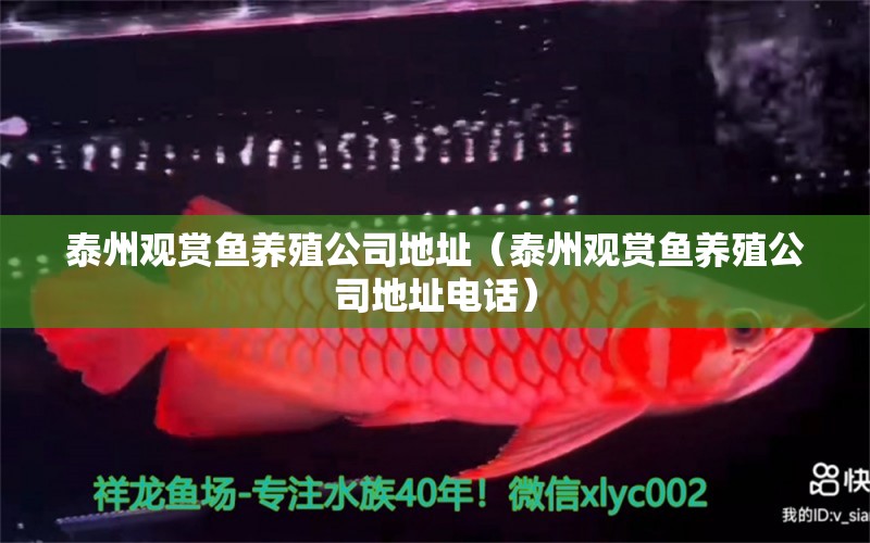 泰州觀賞魚養(yǎng)殖公司地址（泰州觀賞魚養(yǎng)殖公司地址電話）